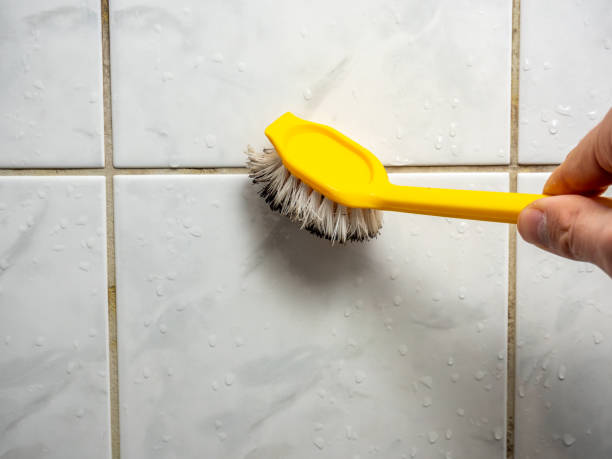 Best Residential Mold Remediation in Manchester, GA