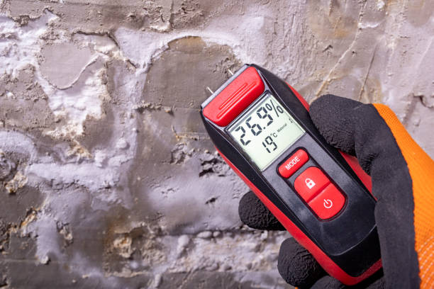 Best Bathroom Mold Remediation in Manchester, GA