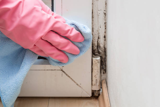 Best Bathroom Mold Remediation in Manchester, GA
